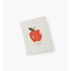 RIFLE PAPER CO. Apple Thank You Cards, Keepsake Boxed Set of 8 with Soft White Envelopes, Full-Color Illustration, Foil-Stamped, Blank Interior, 4.25″ L x 5.5″ W