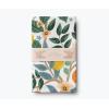 RIFLE PAPER CO. Citrus Grove Tea Towel – Stylish Cotton Towel for Drying or Display, 28″ L x 21″ W, Perfect Addition for Kitchens to Increase Culinary Style, Machine-Washable(Citrus Grove)