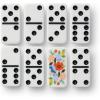 RIFLE PAPER CO. Dominoes Set | 28 Dominoes with Illustrated Designs, Packaged in Embroidered Keepsake Box, Includes Instruction Card for Games, Strawberry Fields