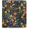 RIFLE PAPER CO. Citrus Grove Recipe Binder – 16 Tabbed Dividers, 10 Clear Recipe Card Sleeves, 1″ Three-Ring Style, 11.5″L x 9.75″W, Double-Sided Pocket Folder and Adhesive Labels, Reinforced Corners